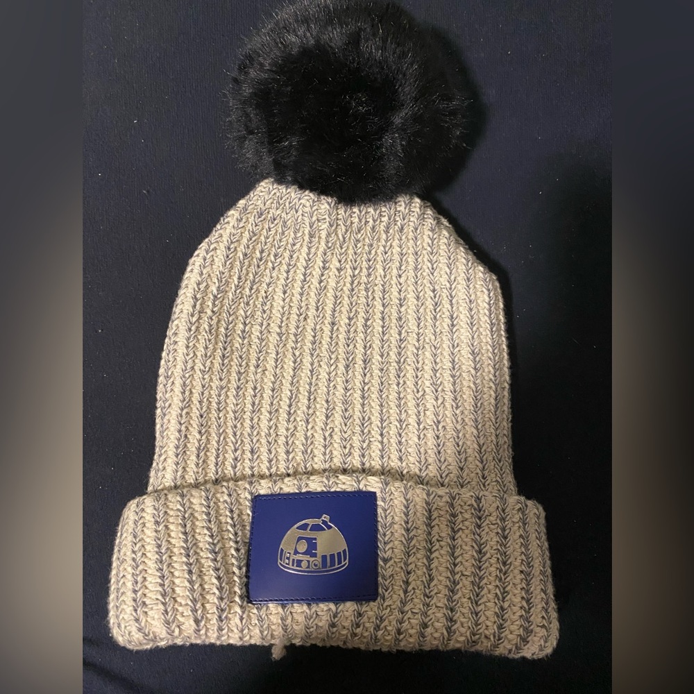Love Your Melon Pom Beanie R2D2